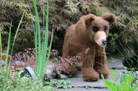 /album/xxx/kleiner-braunbar-siggi-jpg/